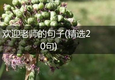 欢迎老师的句子(精选20句)