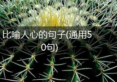 比喻人心的句子(通用50句)