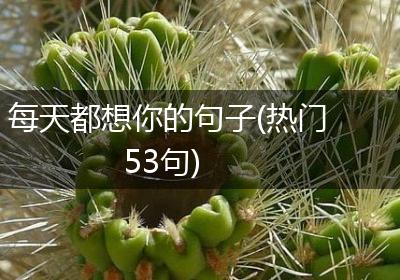 每天都想你的句子(热门53句)