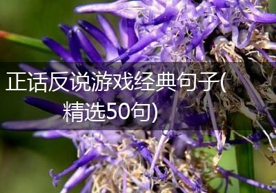 正话反说游戏经典句子(精选50句)