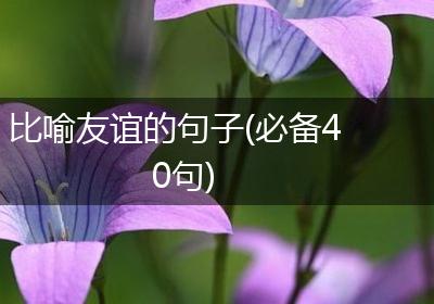 比喻友谊的句子(必备40句)