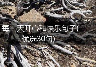 每一天开心和快乐句子(优选30句)