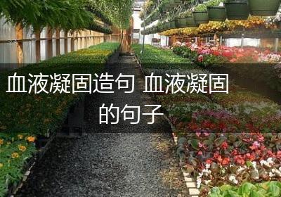 血液凝固造句 血液凝固的句子