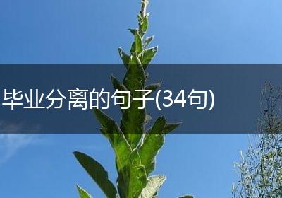 毕业分离的句子(34句)