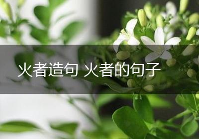 火者造句 火者的句子
