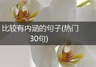 比较有内涵的句子(热门30句)