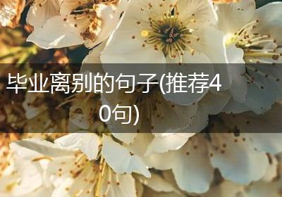 毕业离别的句子(推荐40句)