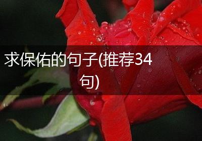 求保佑的句子(推荐34句)