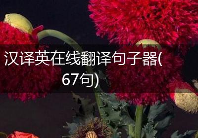 汉译英在线翻译句子器(67句)