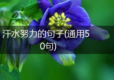 汗水努力的句子(通用50句)