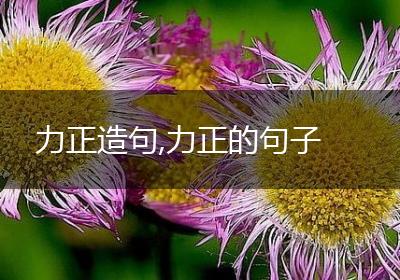 力正造句,力正的句子