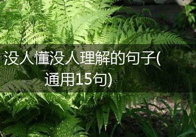 没人懂没人理解的句子(通用15句)