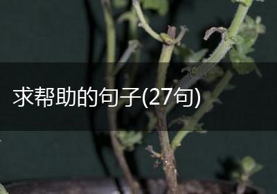 求帮助的句子(27句)