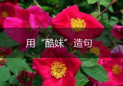 用“酷妹”造句