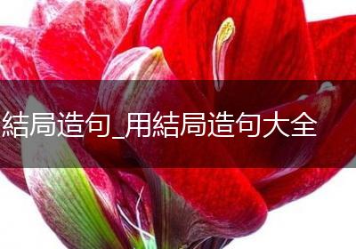 結局造句_用結局造句大全