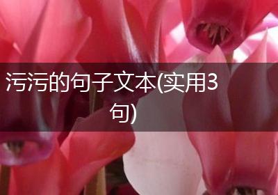 污污的句子文本(实用3句)