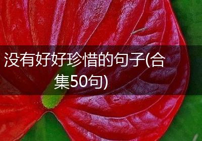 没有好好珍惜的句子(合集50句)