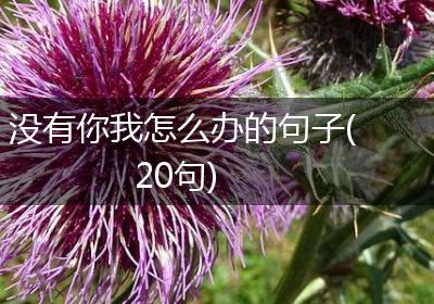 没有你我怎么办的句子(20句)