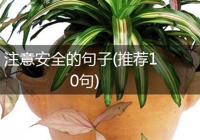 注意安全的句子(推荐10句)