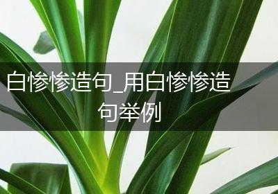 白惨惨造句_用白惨惨造句举例