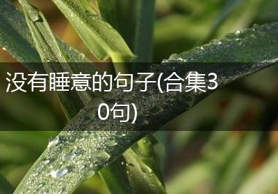 没有睡意的句子(合集30句)