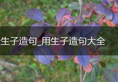 生子造句_用生子造句大全