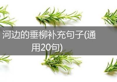 河边的垂柳补充句子(通用20句)