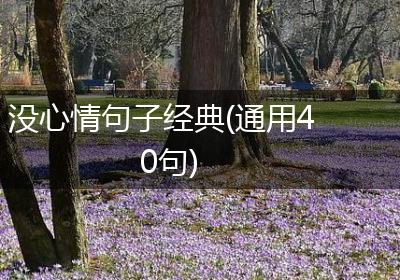 没心情句子经典(通用40句)