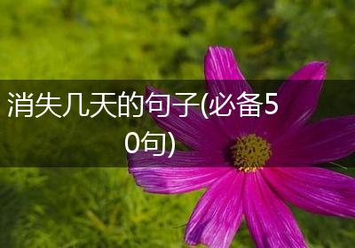 消失几天的句子(必备50句)