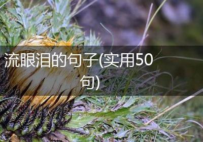 流眼泪的句子(实用50句)