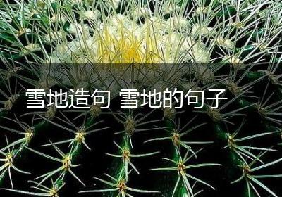 雪地造句 雪地的句子