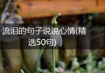 流泪的句子说说心情(精选50句)