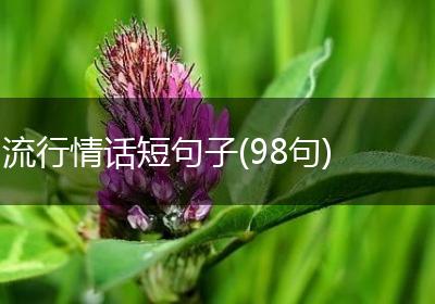 流行情话短句子(98句)