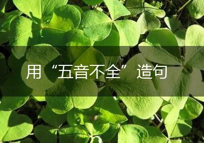 用“五音不全”造句
