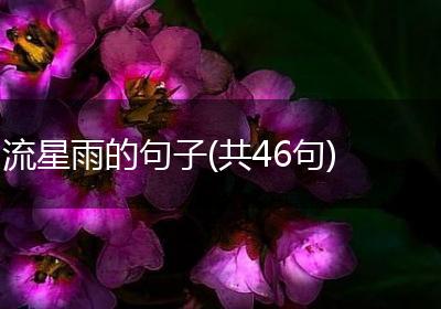 流星雨的句子(共46句)