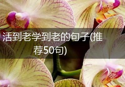 活到老学到老的句子(推荐50句)