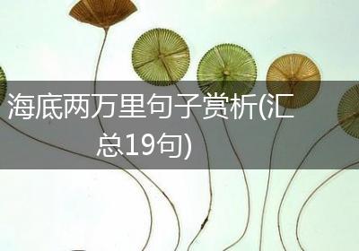 海底两万里句子赏析(汇总19句)