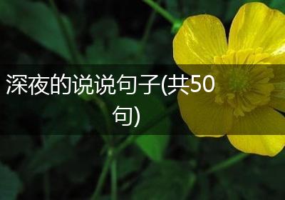 深夜的说说句子(共50句)