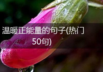 温暖正能量的句子(热门50句)