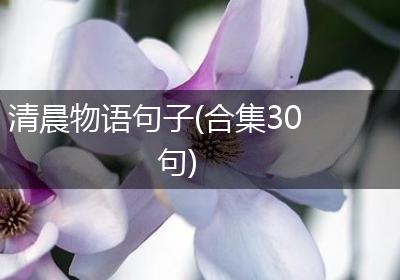 清晨物语句子(合集30句)