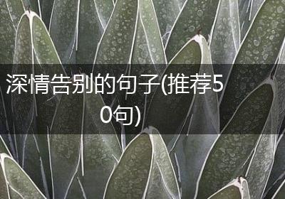 深情告别的句子(推荐50句)