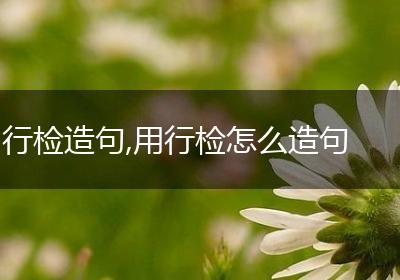 行检造句,用行检怎么造句
