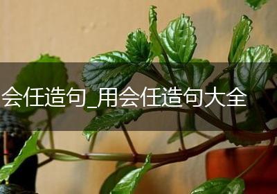 会任造句_用会任造句大全