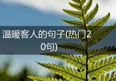 温暖客人的句子(热门20句)
