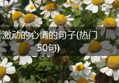 激动的心情的句子(热门50句)