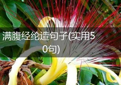 满腹经纶造句子(实用50句)