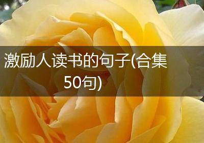 激励人读书的句子(合集50句)