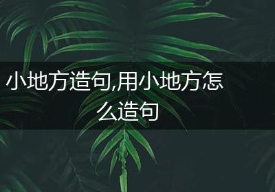 小地方造句,用小地方怎么造句