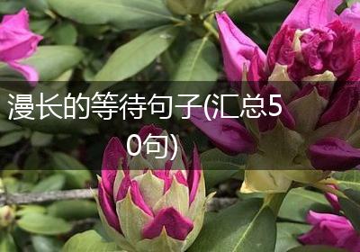 漫长的等待句子(汇总50句)