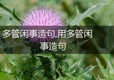 多管闲事造句,用多管闲事造句
